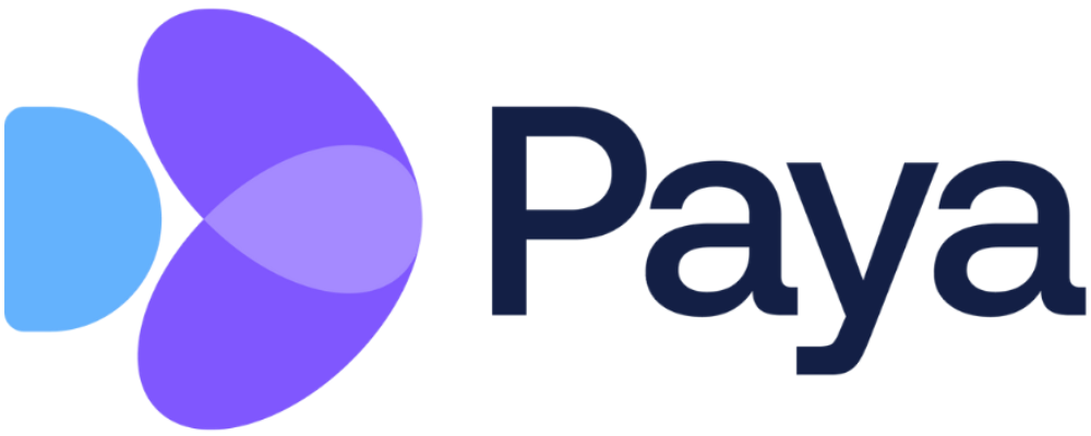 DeepPaya Logo